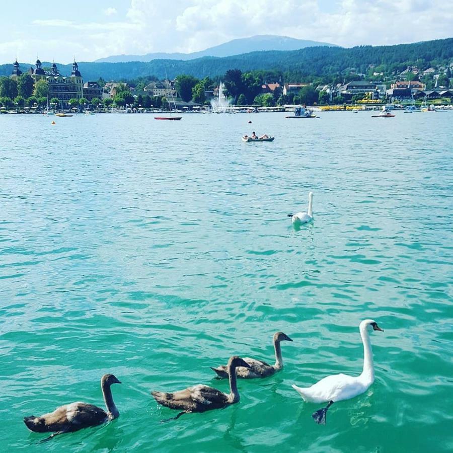 Superior-Apartment Mit Pool Und Seezugang Velden am Wörthersee Eksteriør bilde
